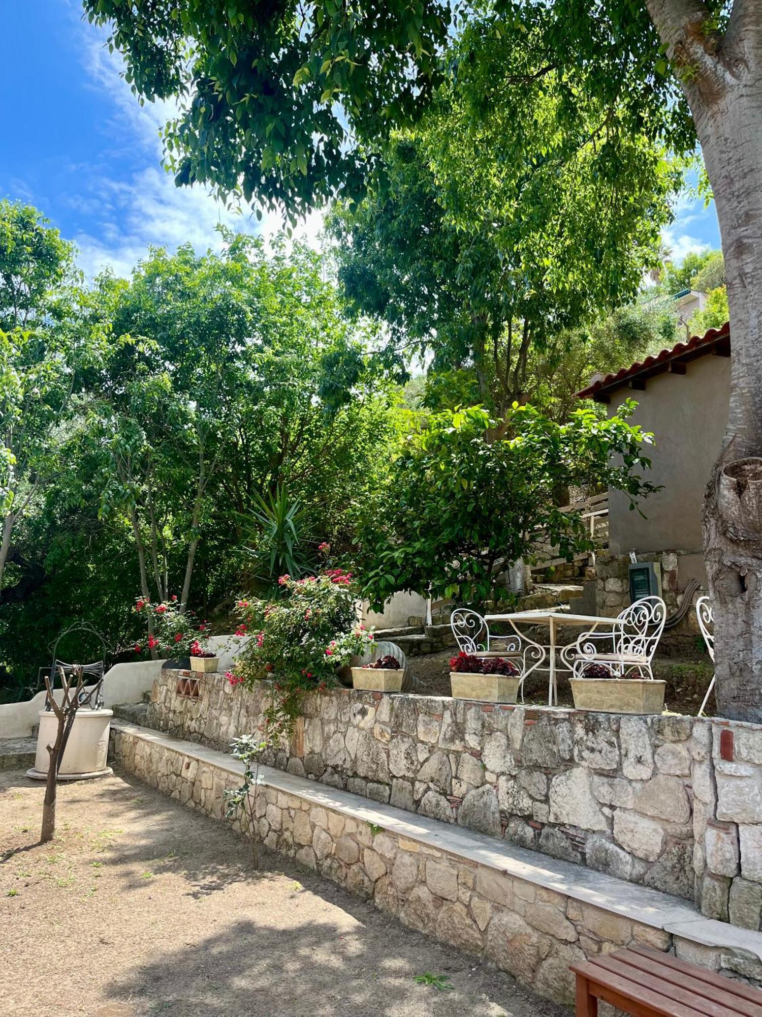 The Beach House - Apartments & Studios (Adults Only) Afytos Ngoại thất bức ảnh